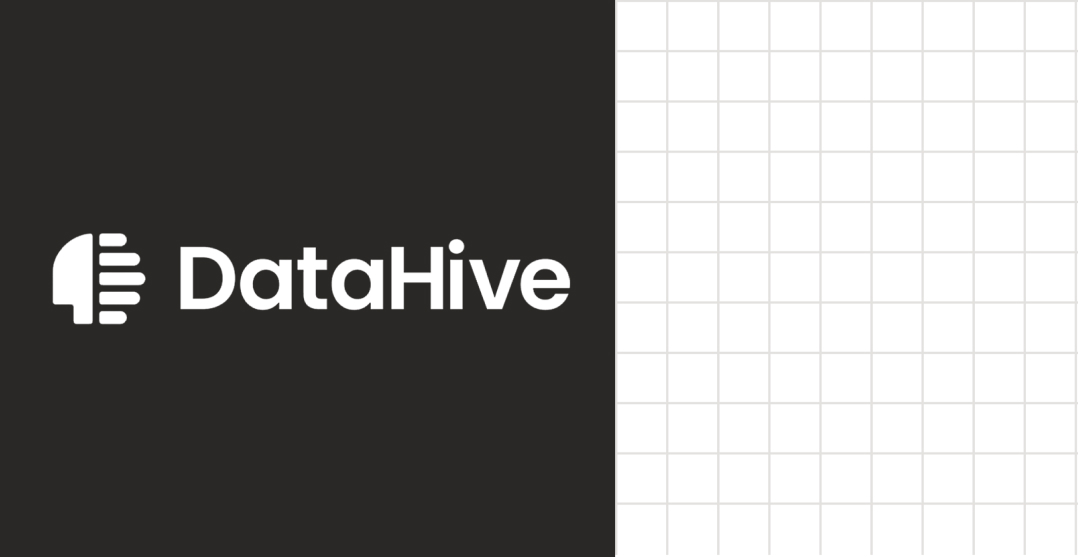 DataHive logo and grid.